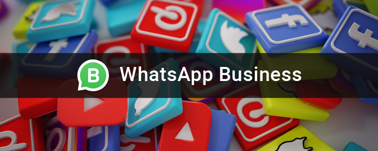Whats App Business Guide Whats App Business Guide